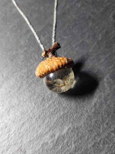 Real Acorn and Dandelion Necklace