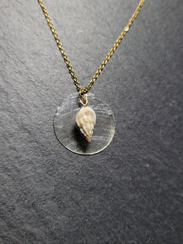 Real Shell Necklace