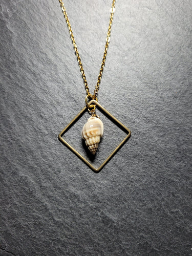 Real Shell Necklace