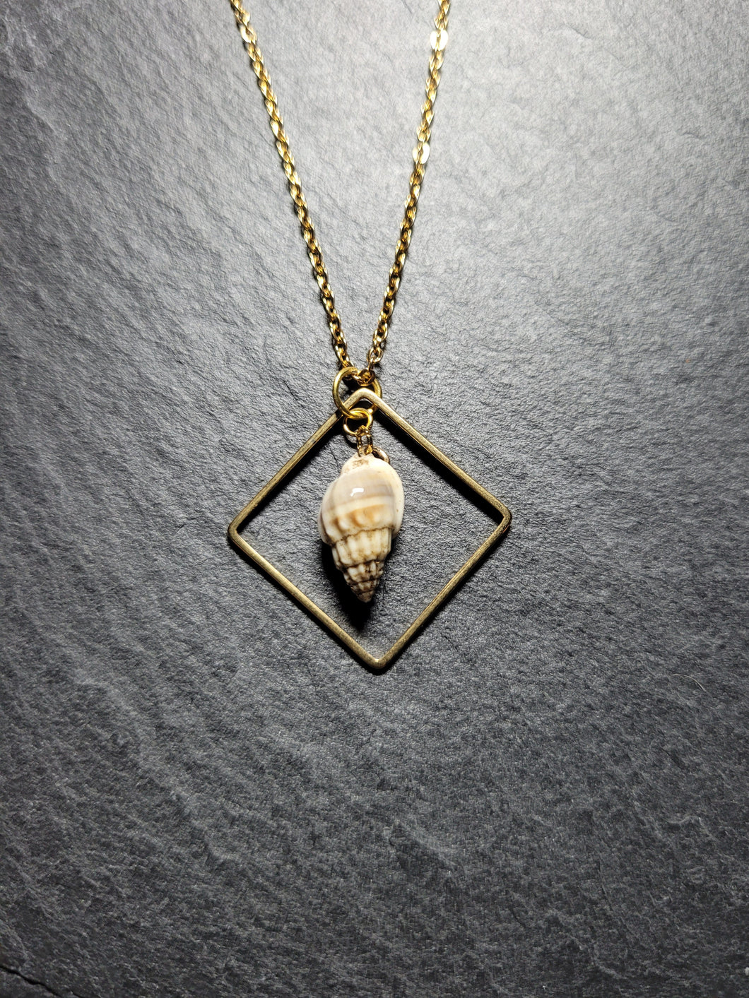 Real Shell Necklace