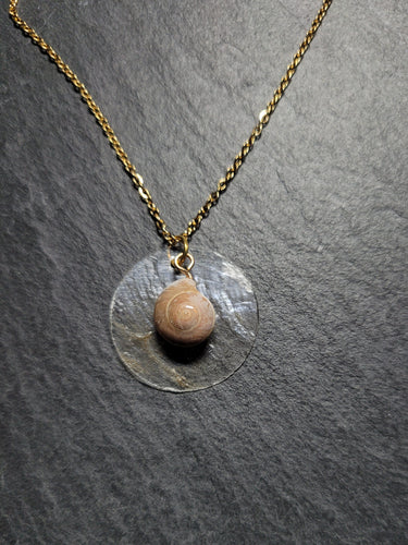 Real Shell Necklace