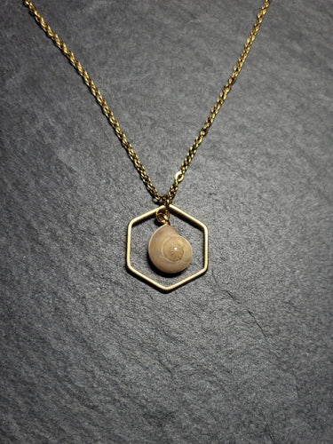 Real Shell Necklace