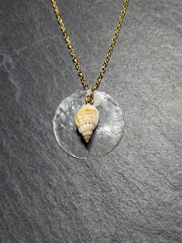 Real Shell Necklace