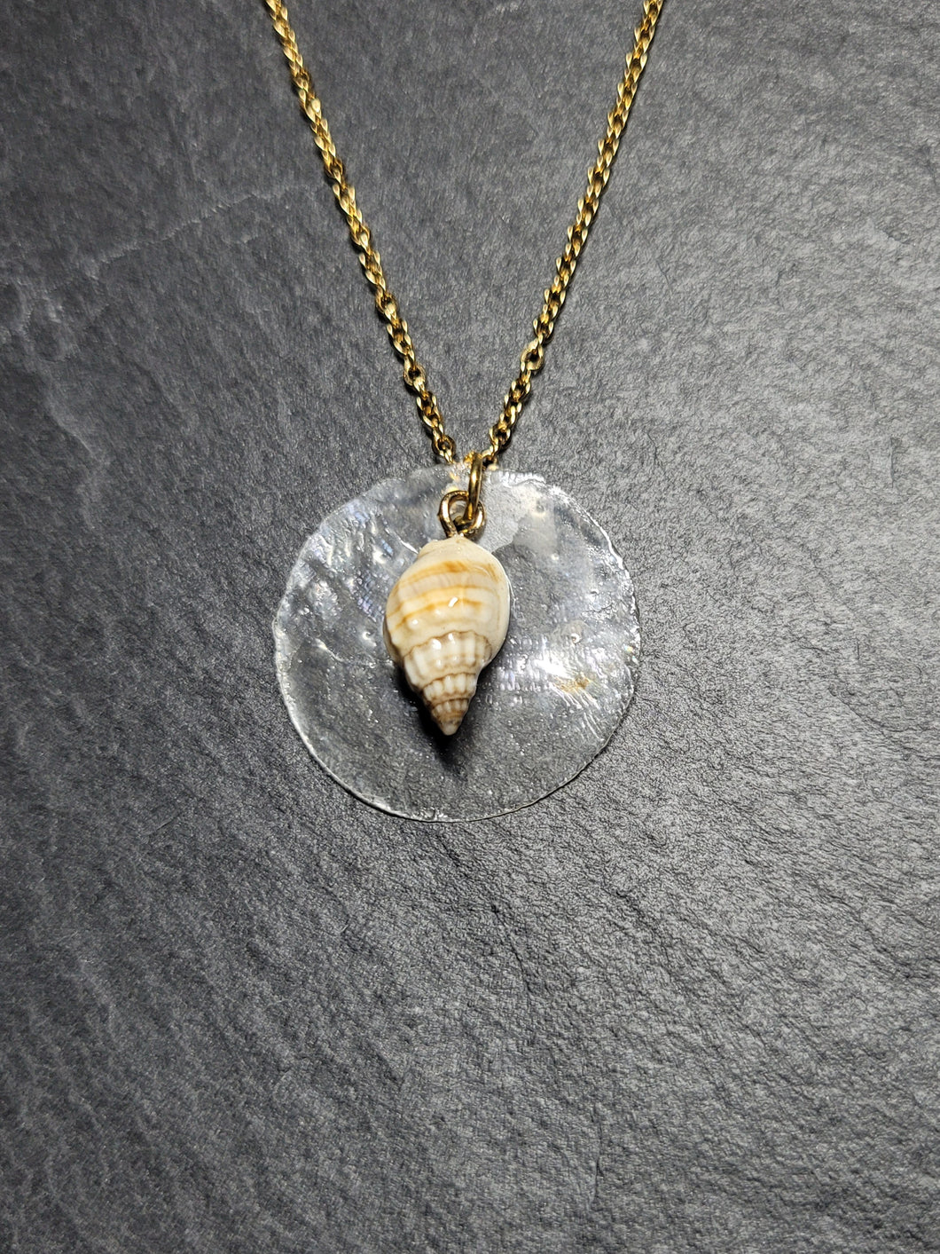Real Shell Necklace