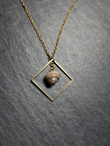 Real Shell Necklace