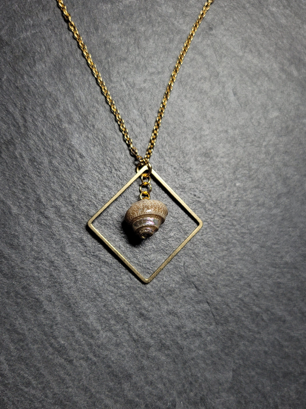 Real Shell Necklace