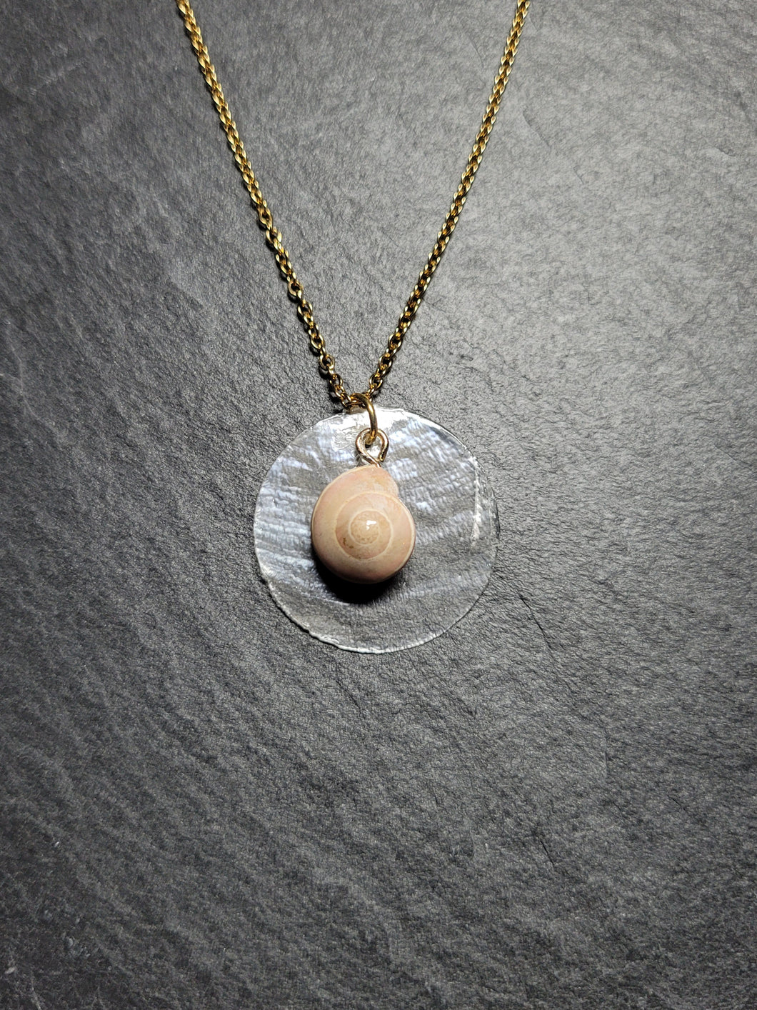 Real Shell Necklace