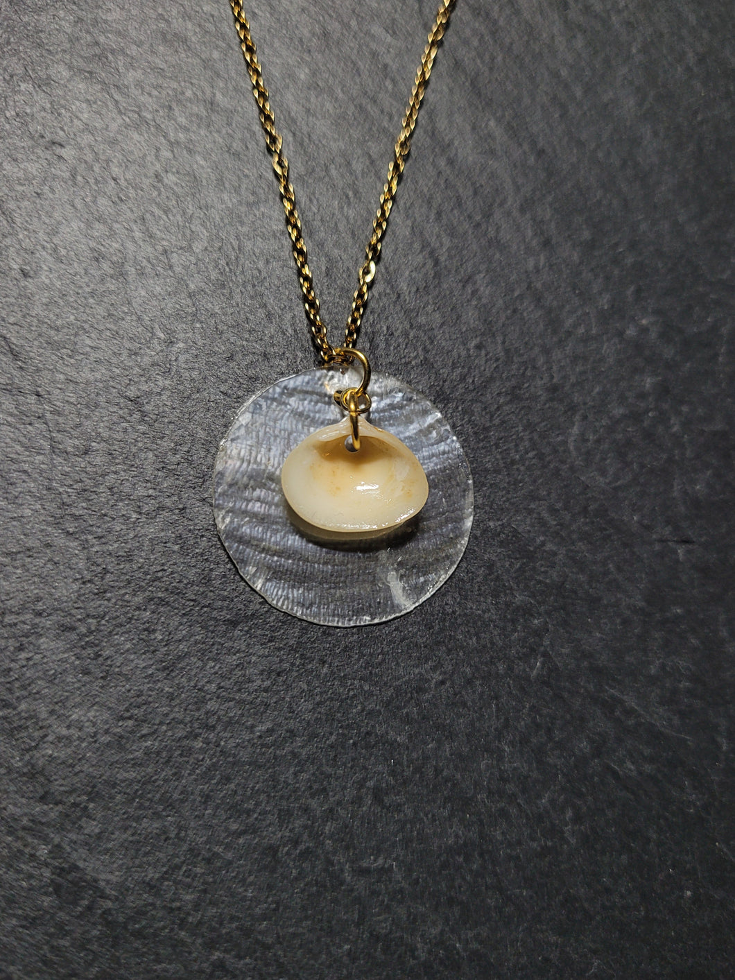 Real Shell Necklace