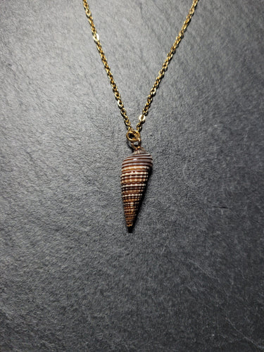 Real Shell Necklace