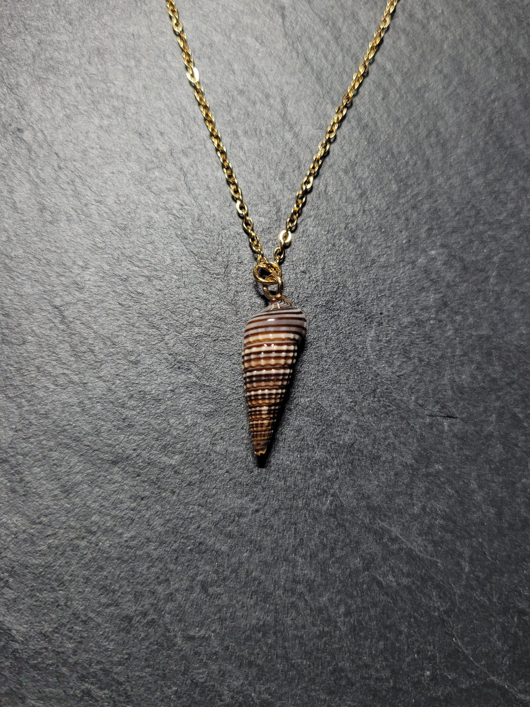 Real Shell Necklace