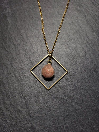 Real Shell Necklace