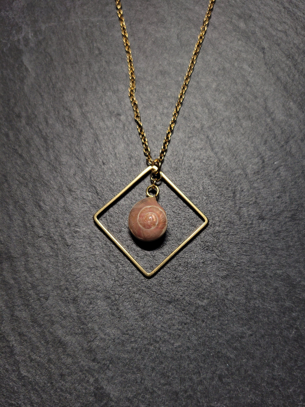 Real Shell Necklace