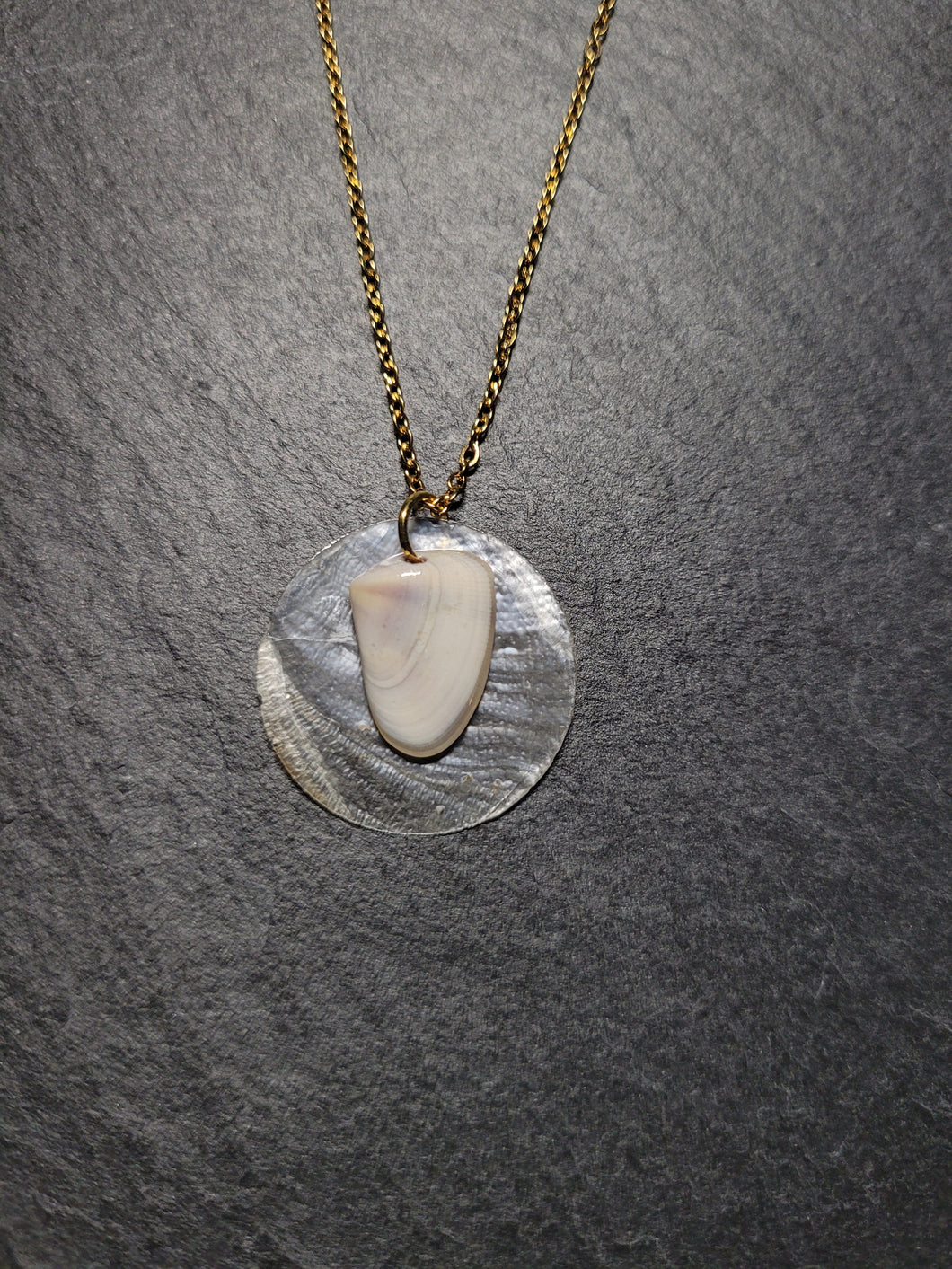 Real Shell Necklace