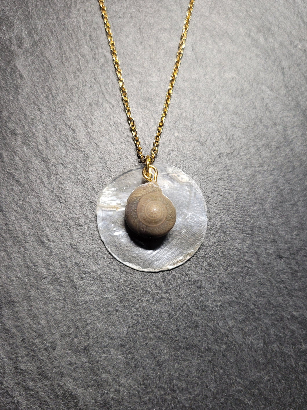 Real Shell Necklace