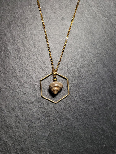 Real Shell Necklace