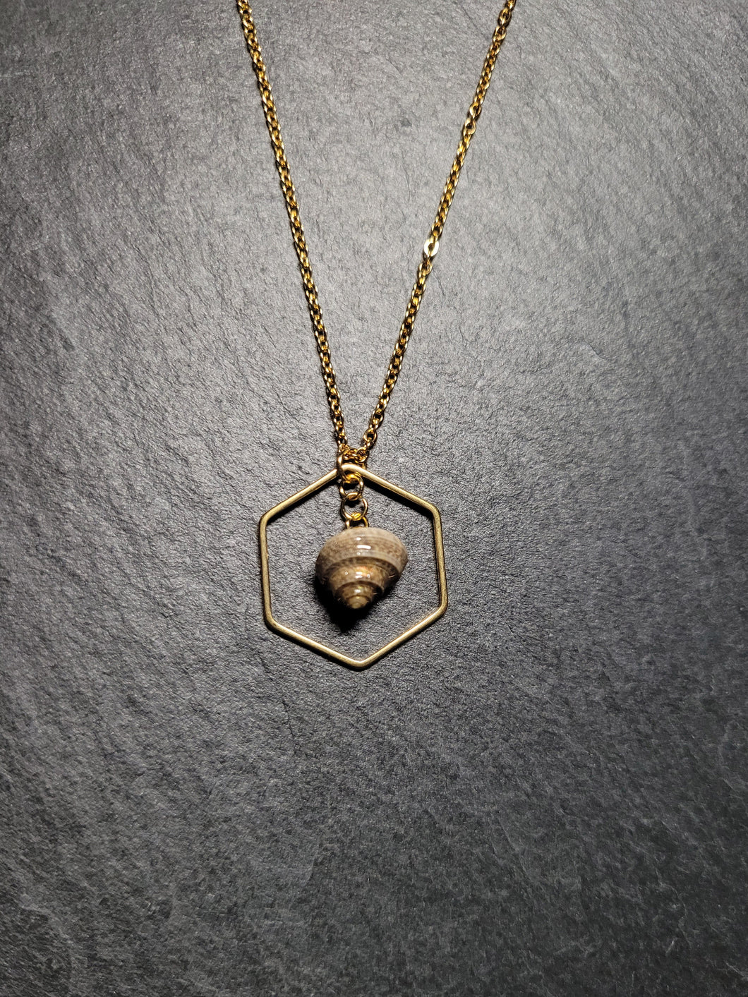 Real Shell Necklace