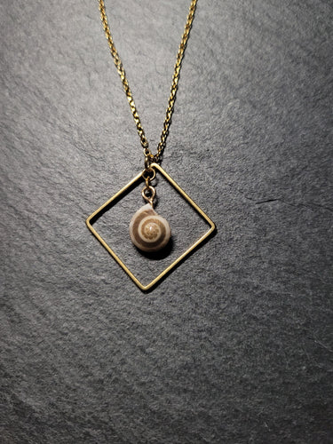 Real Shell Necklace