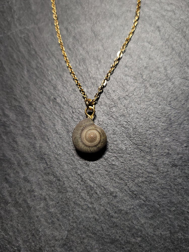 Real Shell Necklace