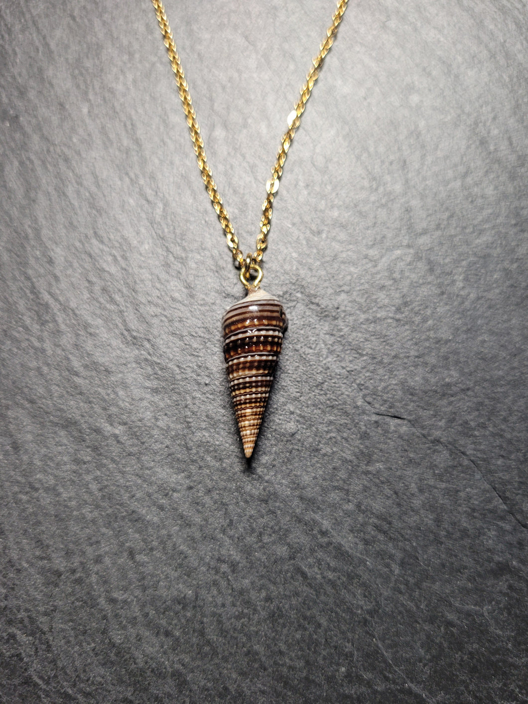 Real Shell Necklace
