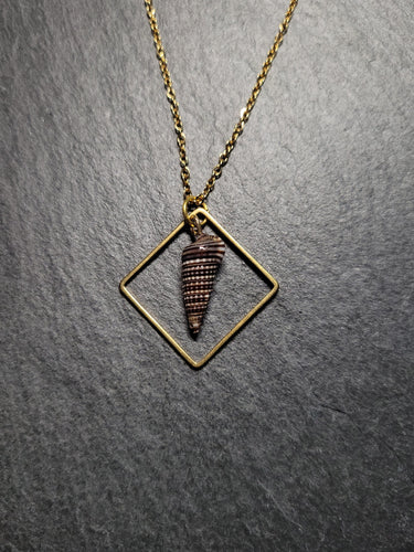 Real Shell Necklace