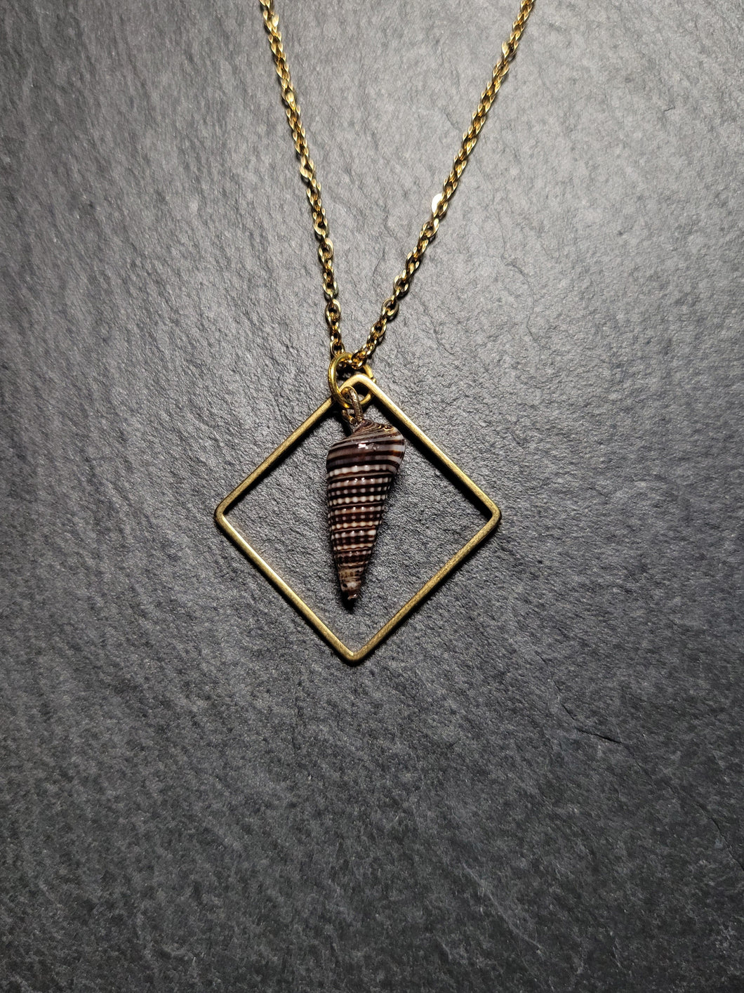 Real Shell Necklace