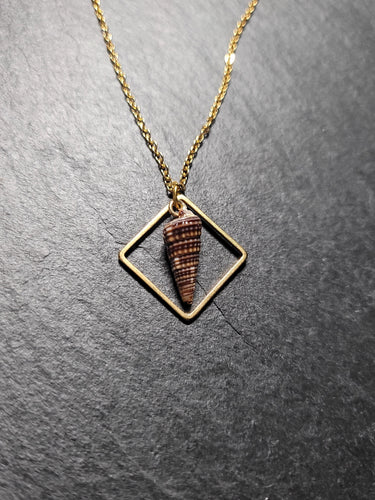 Real Shell Necklace