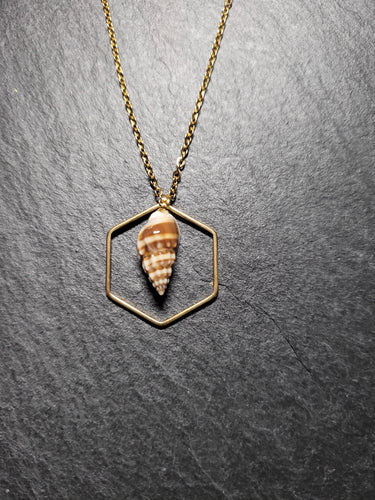Real Shell Necklace