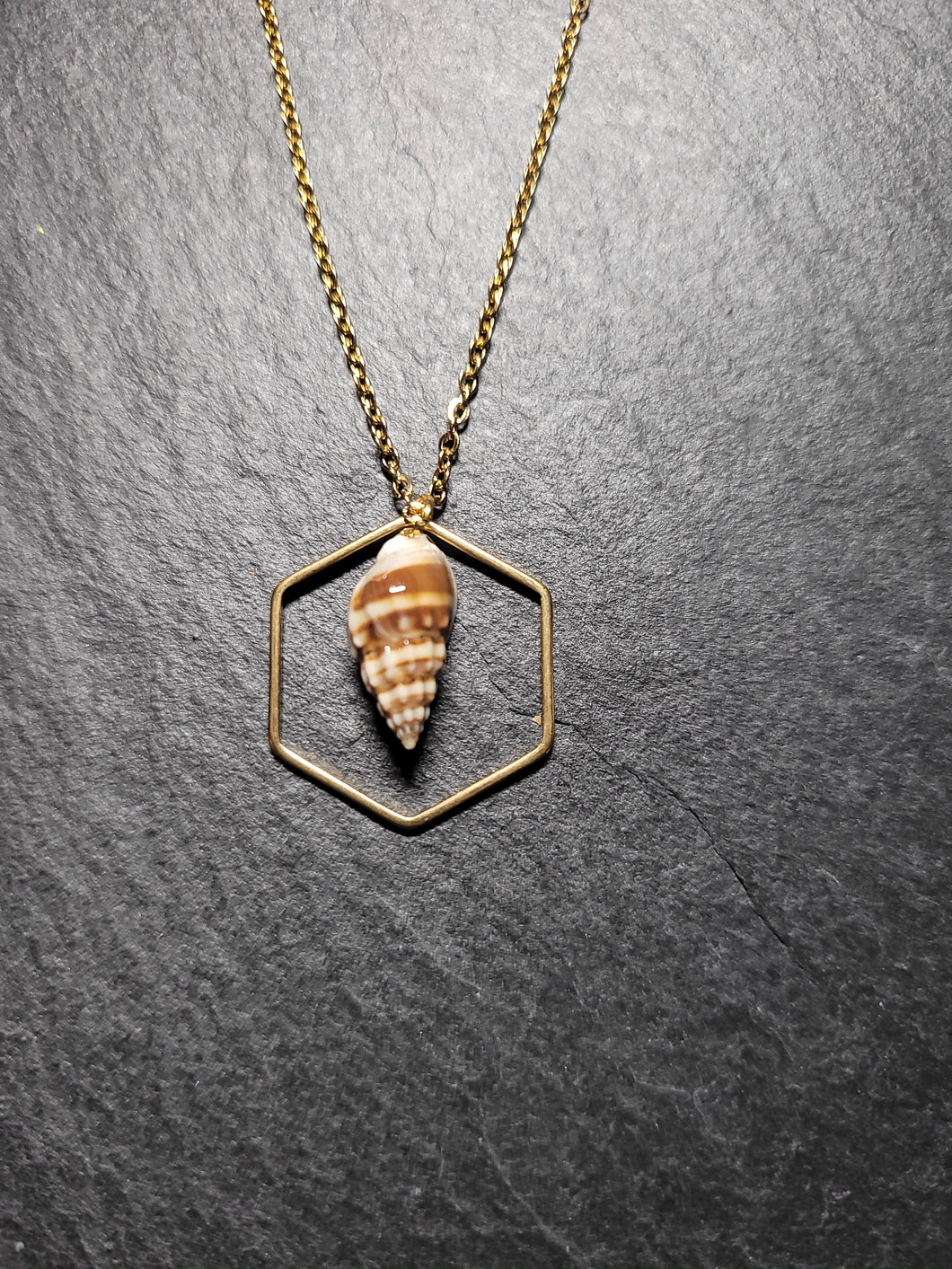Real Shell Necklace