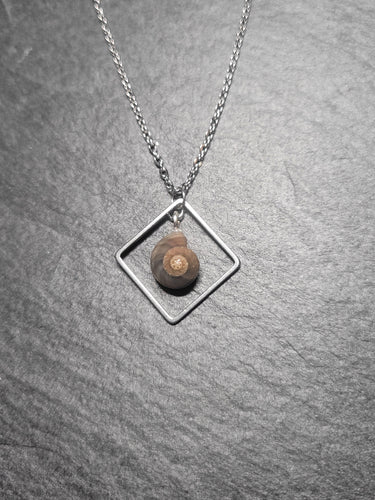 Real Shell Necklace