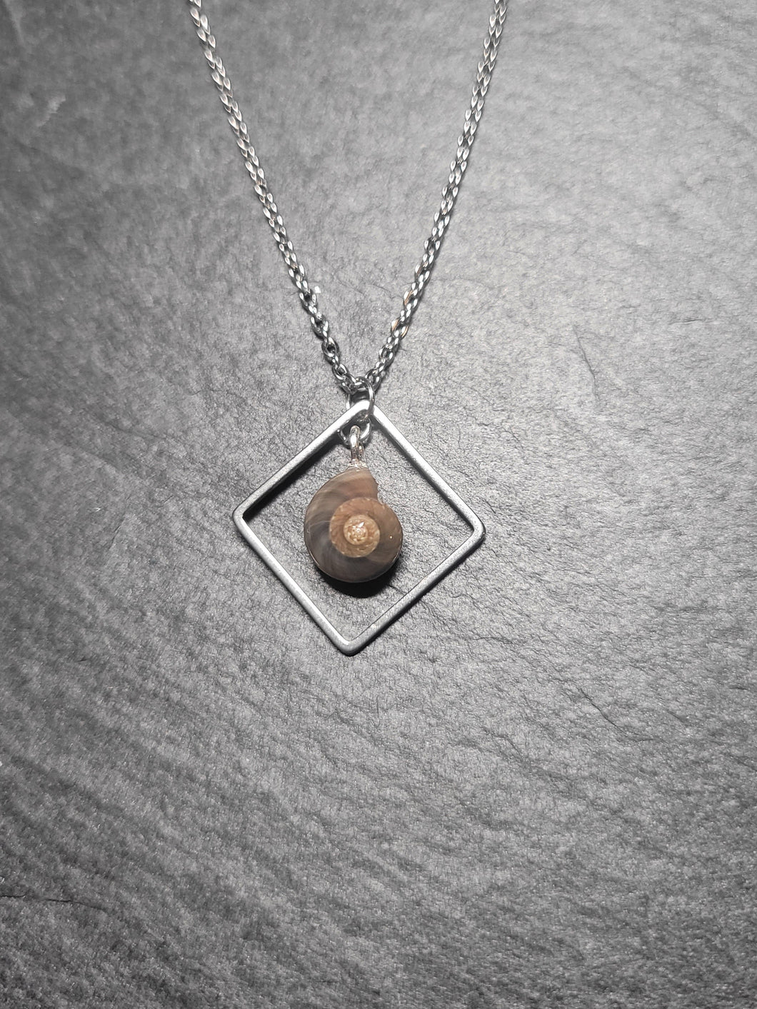 Real Shell Necklace