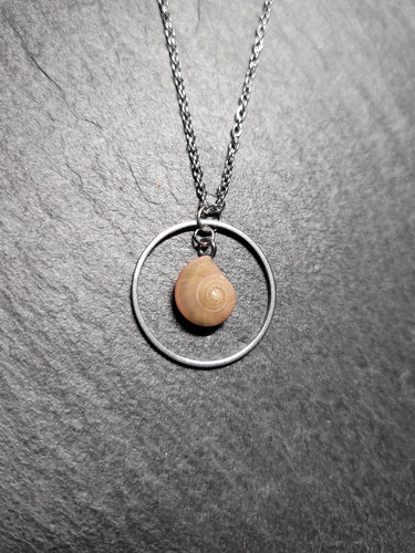 Real Shell Necklace