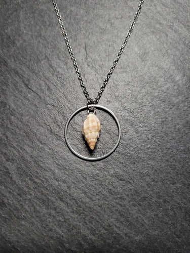 Real Shell Necklace