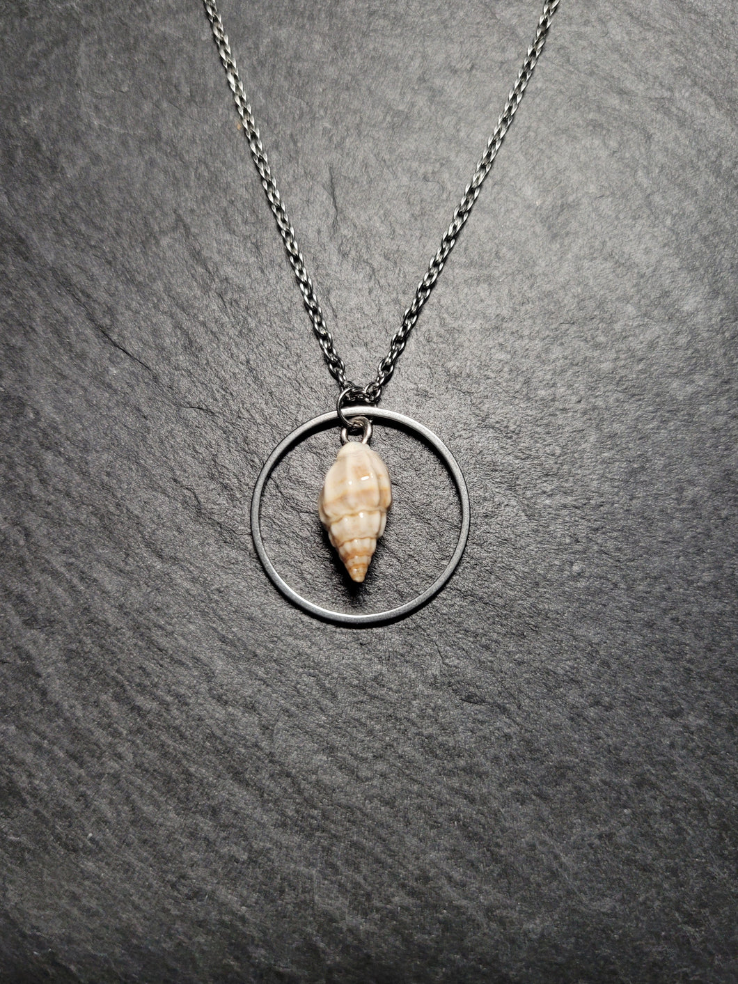 Real Shell Necklace