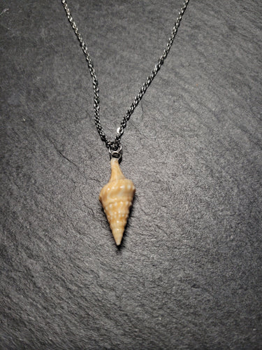 Real Shell Necklace