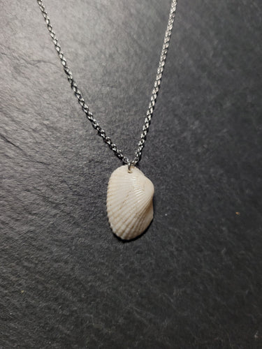 Real Shell Necklace