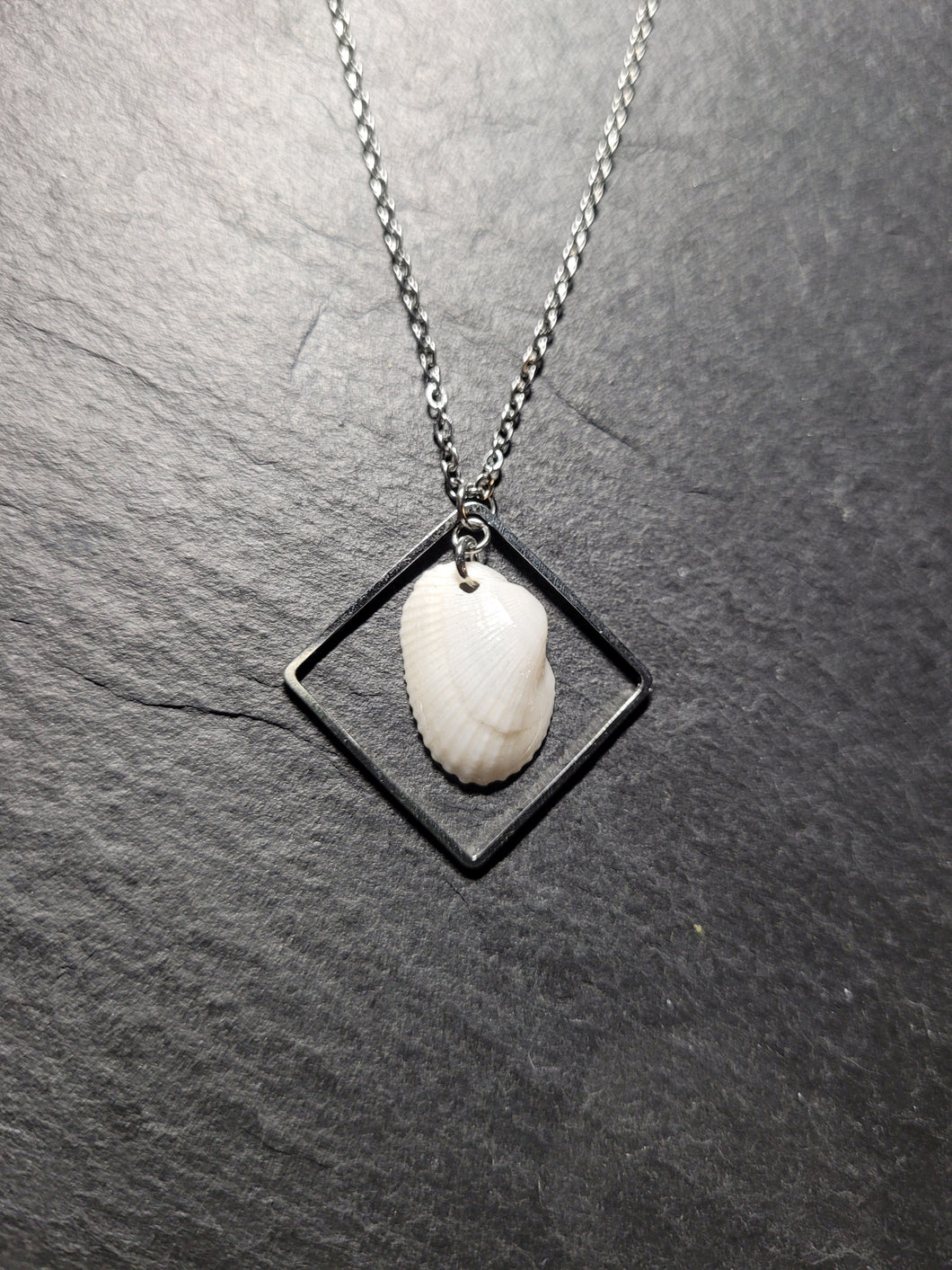 Real Shell Necklace