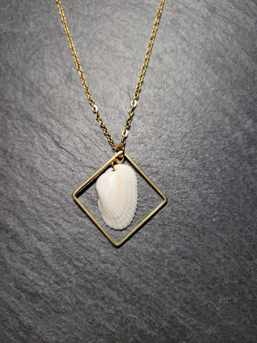 Real Shell Necklace