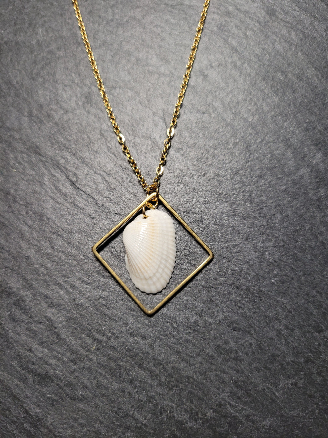 Real Shell Necklace