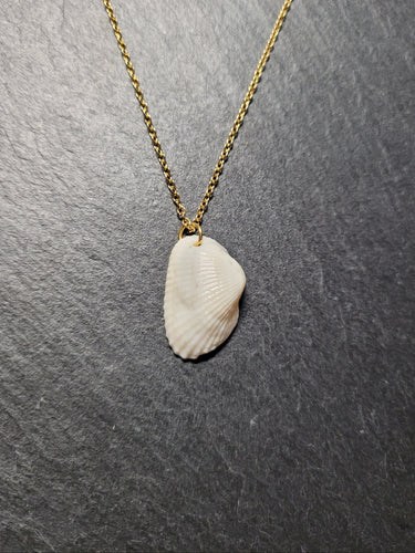 Real Shell Necklace