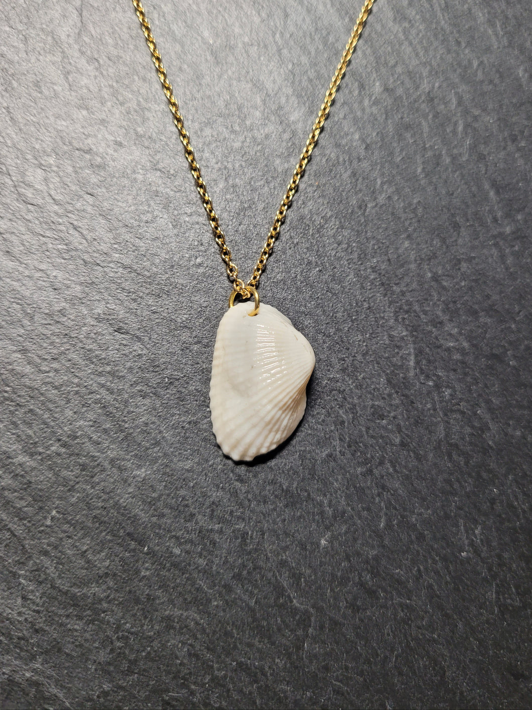 Real Shell Necklace