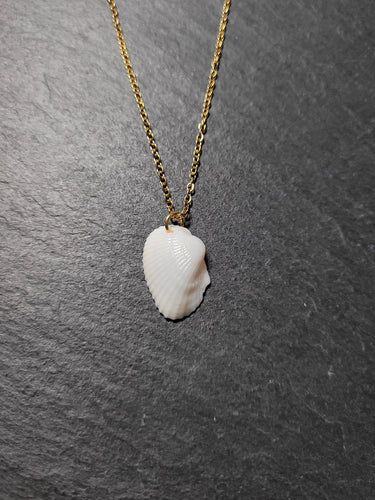 Real Shell Necklace