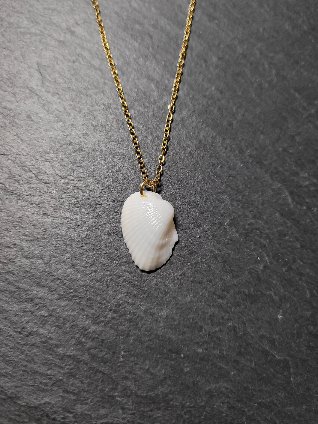 Real Shell Necklace