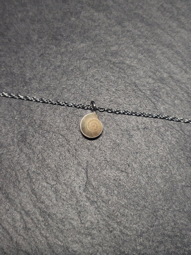 Real Shell Bracelet or Anklet