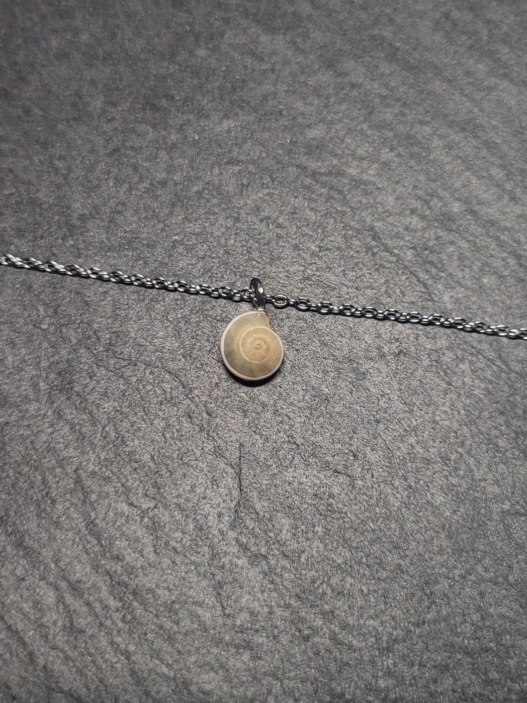 Real Shell Bracelet or Anklet