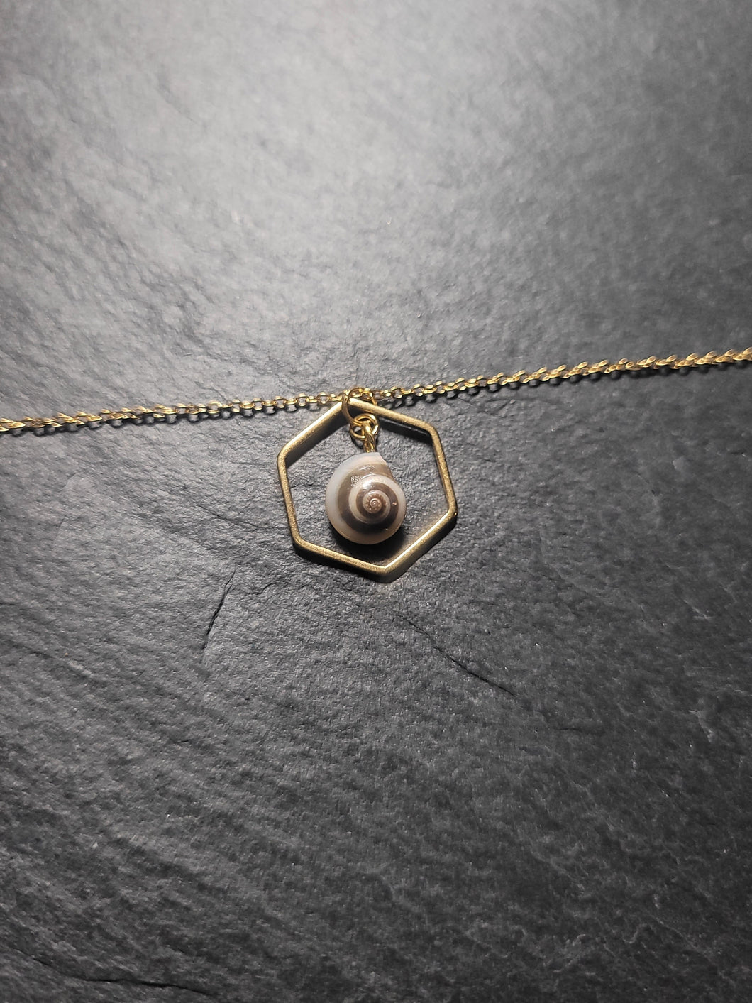 Real Shell Bracelet or Anklet
