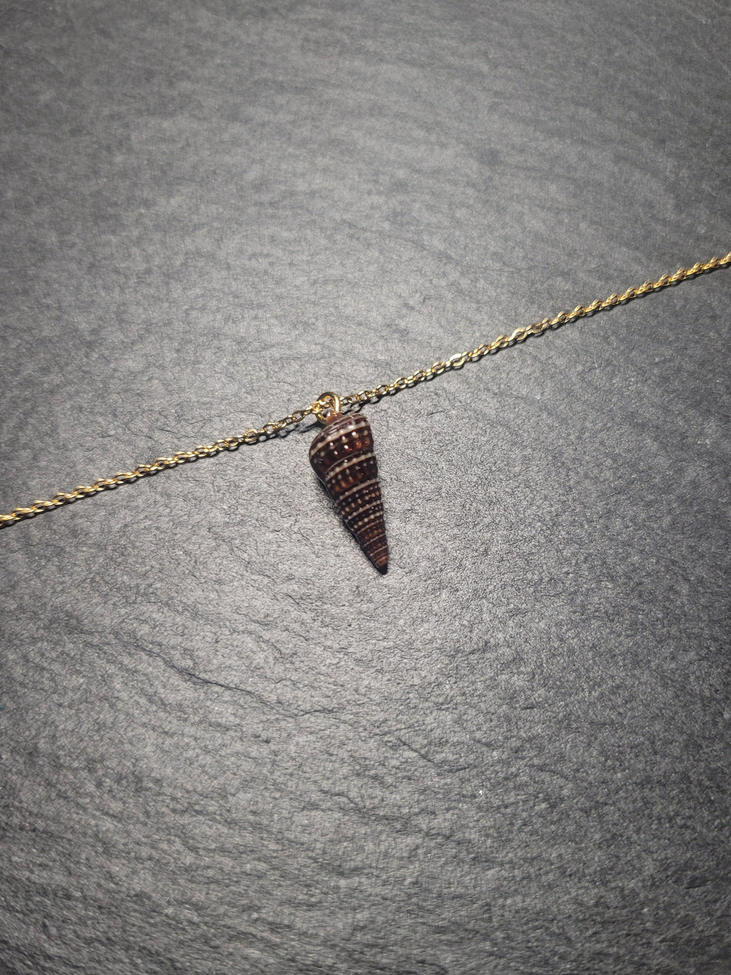 Real Shell Bracelet or Anklet