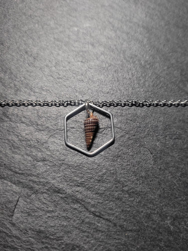 Real Shell Bracelet or Anklet
