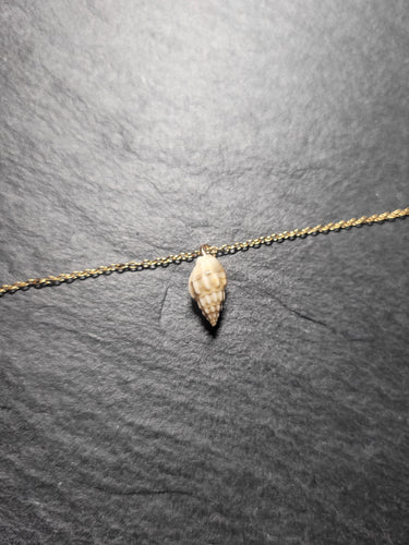 Real Shell Bracelet or Anklet