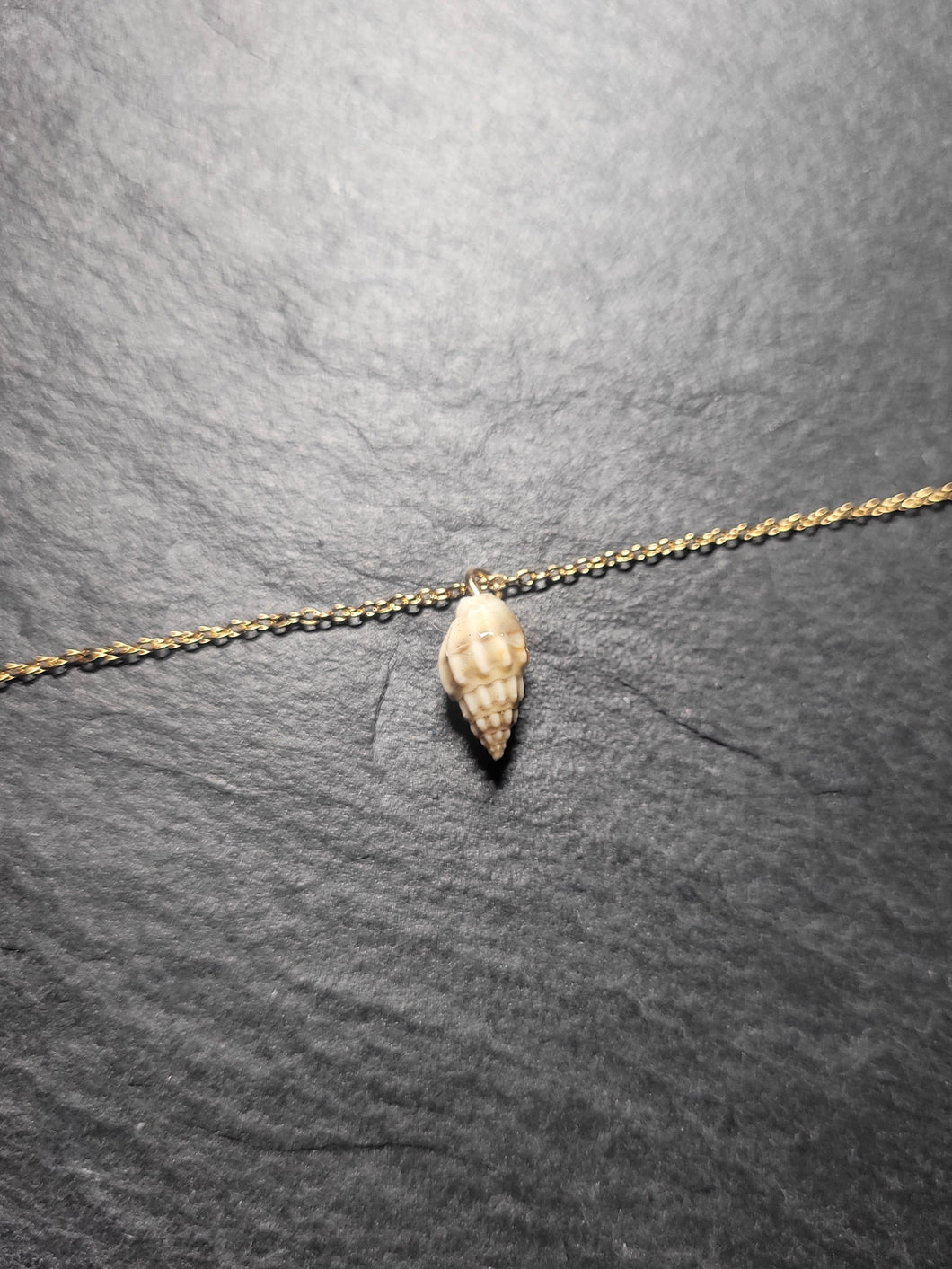 Real Shell Bracelet or Anklet