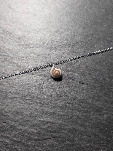 Real Shell Bracelet or Anklet